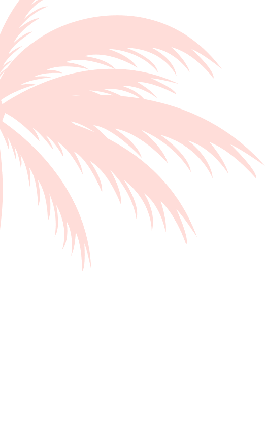 layout-slider1-01.png