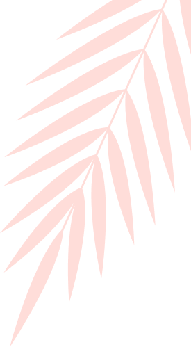 layout-slider1-02.png